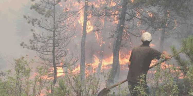 Son Dakika: Bakan Yumaklı duyurdu… Eskişehir’deki orman yangını denetim altına alındı