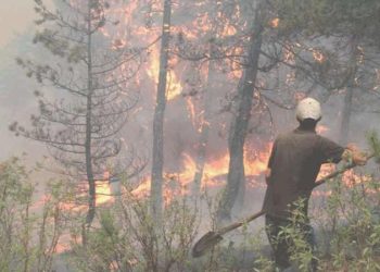 Son Dakika: Bakan Yumaklı duyurdu… Eskişehir’deki orman yangını denetim altına alındı