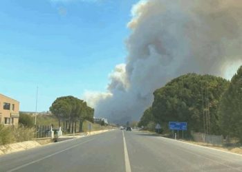 Son Dakika: Çanakkale’de orman yangını