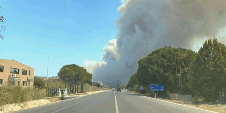 Son Dakika: Çanakkale’de orman yangını