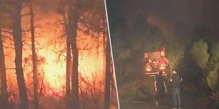 Son dakika… İstanbul Maltepe’de orman yangını: Bölgeye çok sayıda grup sevk edildi