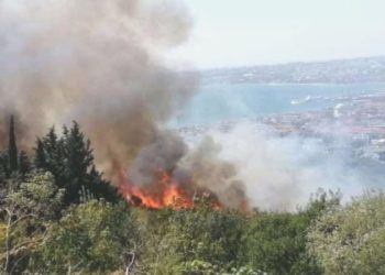 Son Dakika: İstanbul’da otluk alanda yangın çıktı!