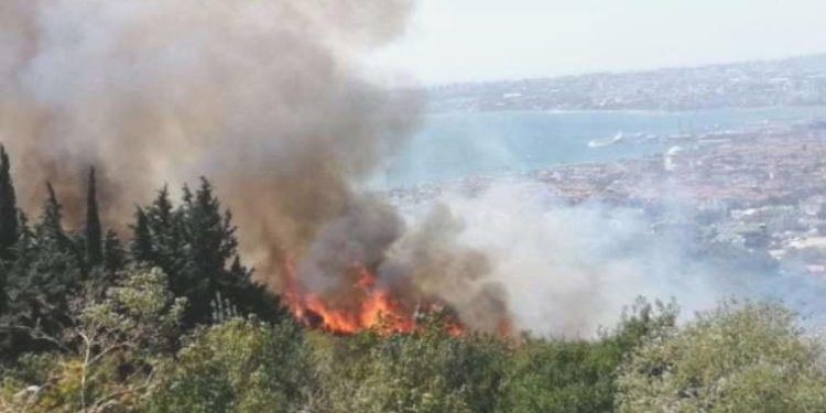 Son Dakika: İstanbul’da otluk alanda yangın çıktı!