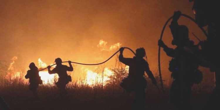 Son dakika: Yunanistan’daki orman yangınında 18 ceset bulundu