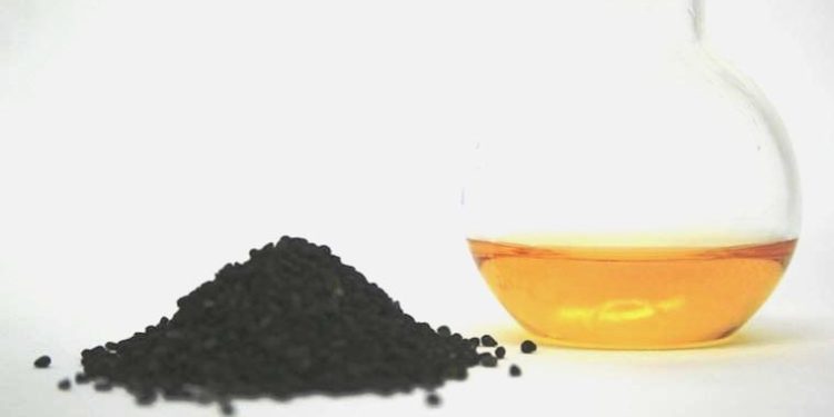 Sperm sayısını bile etkiliyor! Bin bir çeşit yararıyla ‘Çörek Otu’