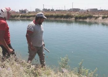 Sulama kanalına düşen 15 yaşındaki Yaprak kayboldu