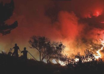 TKP’den davet: Yangından etkilenen yurttaşların ziyanı fiyatsız karşılansın!