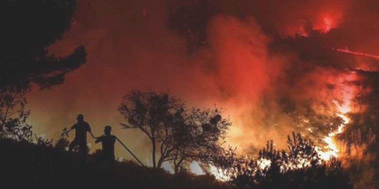 TKP’den davet: Yangından etkilenen yurttaşların ziyanı fiyatsız karşılansın!