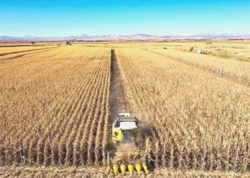 TÜİK açıkladı: Ziraî girdi enflasyonu haziranda yüzde 27.7’ye geriledi