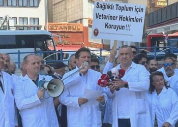 Veteriner doktorlar, 1 günlüğüne iş bıraktı