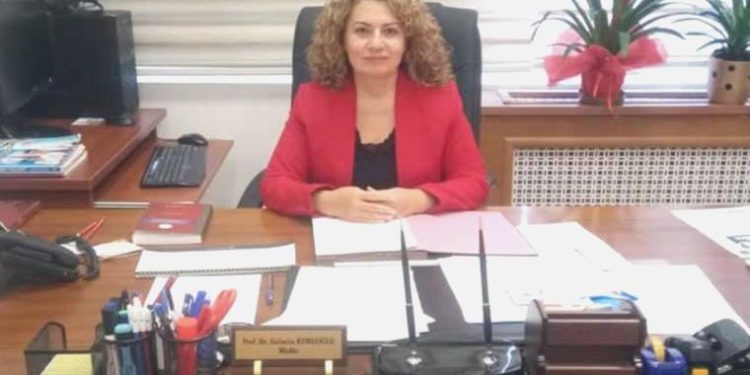 Yabancı Lisanlar Yüksekokulu Müdürü Kuruoğlu: İngiliz eğitimciler maaşı beğenmedi