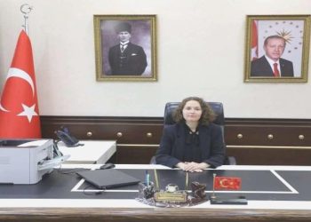 Yalova Vali Yardımcısı İdil Özdemir Doğan kimdir? İdil Özdemir Doğan kaç yaşında, nereli?