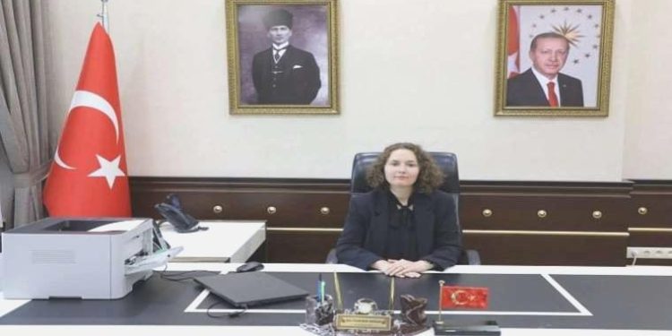 Yalova Vali Yardımcısı İdil Özdemir Doğan kimdir? İdil Özdemir Doğan kaç yaşında, nereli?