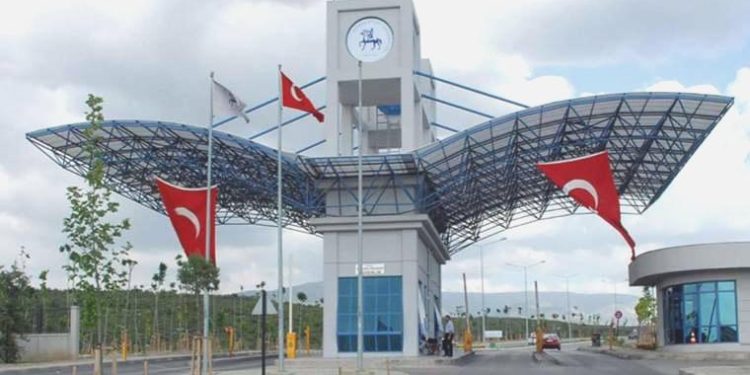 Yüksekokul müdürü eğitimcileri kovdu, yerlerine kardeşini işe aldı: İngiliz gitti ‘kardeş’ geldi!