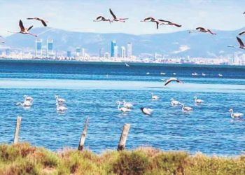 30 milyon mikroplastik Ege Denizi’ne karışıyor