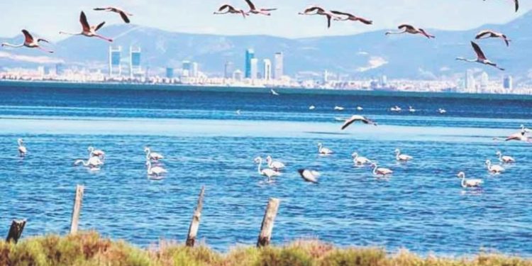 30 milyon mikroplastik Ege Denizi’ne karışıyor