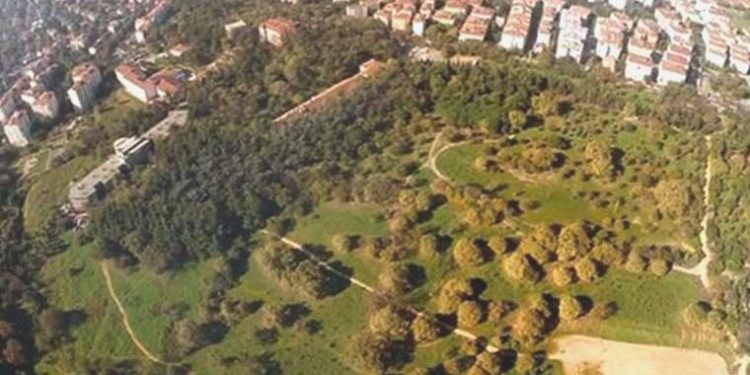 AKP’li Üsküdar Belediyesi Müdafaa Şurası’nı tanımadı: Validebağ’da hukuksuz işlem!