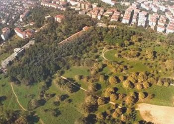 AKP’li Üsküdar Belediyesi Muhafaza Şurası’nı tanımadı: Validebağ’da hukuksuz işlemi!