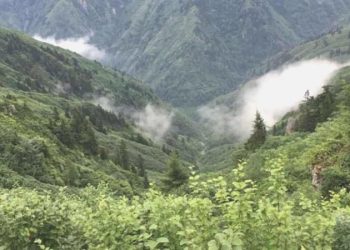 Artvin vadileri HES’e boğuldu