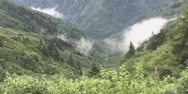 Artvin vadileri HES’e boğuldu