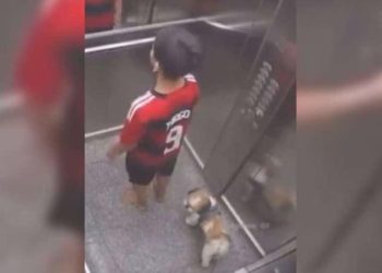 Asansörde sıkışan köpeği bu türlü kurtardı