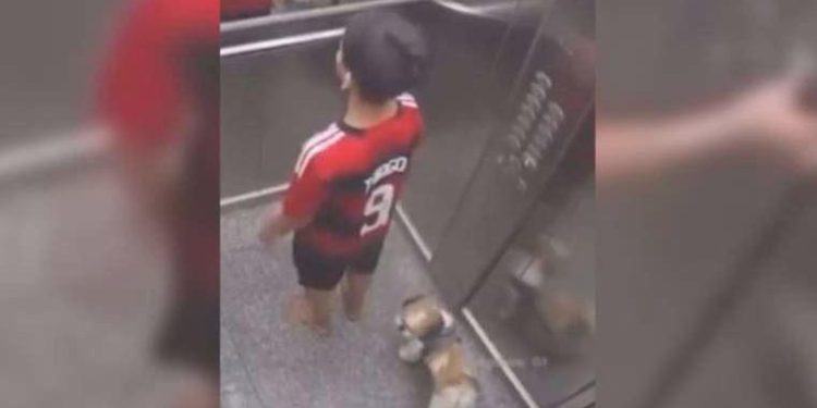 Asansörde sıkışan köpeği bu türlü kurtardı