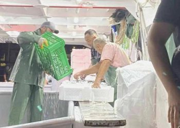 Av yasağı bitti, dönemin birinci balıkları avlandı: ‘Yüzde yüz bir yoğunluk yok ancak siftahı yaptık’