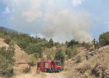 Çankırı’da orman yangını: Havadan ve karadan müdahale ediliyor!