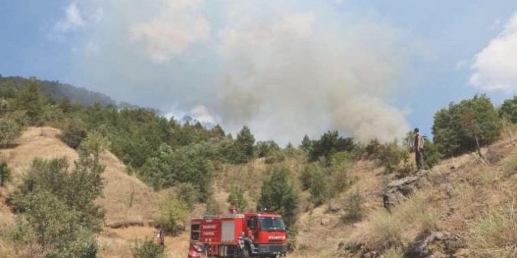 Çankırı’da orman yangını: Havadan ve karadan müdahale ediliyor!
