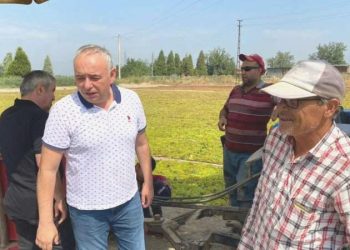 CHP’li Bakırlıoğlu: Kuru üzüm üreticisi 60 lira fiyat bekliyor