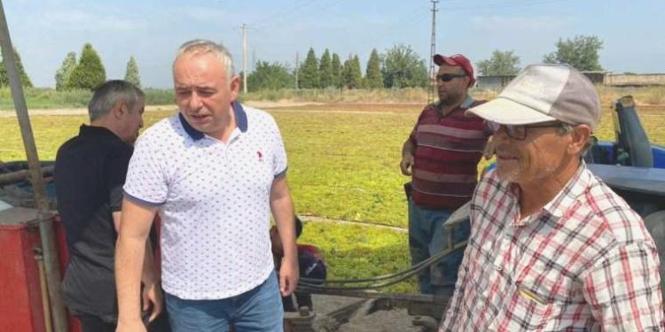 CHP’li Bakırlıoğlu: Kuru üzüm üreticisi 60 lira fiyat bekliyor