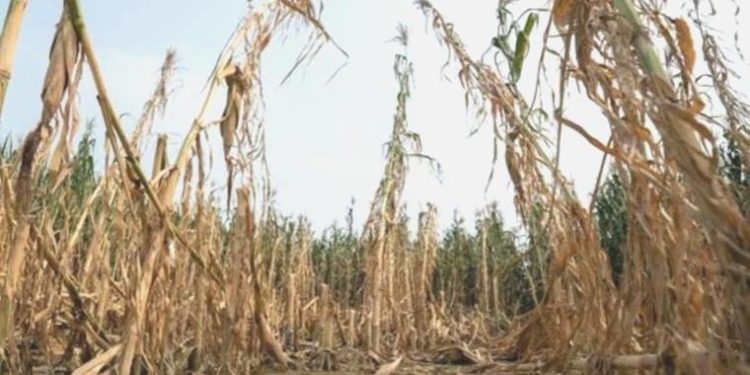 Çin’in birçok bölgesinde iklim kaynaklı yıkıcı ‘ilkler’ yaşanıyor
