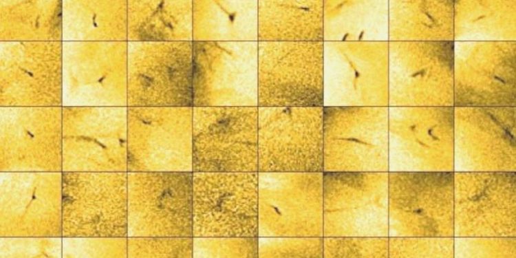 Gizemli Güneş rüzgarlarına güç veren şey nedir?