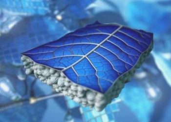 Güneş panelleri yerine geçebilir; Güneş Yaprakları