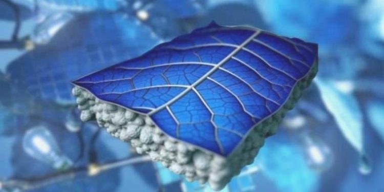 Güneş panelleri yerine geçebilir; Güneş Yaprakları