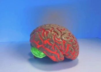 İnsan beyninin neden büyük olduğu açıklandı: Cinsellik etken faktör