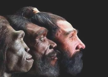 İnsan cetlerinin binlerce yıl evvel yok olmanın eşiğine geldiği ortaya çıktı