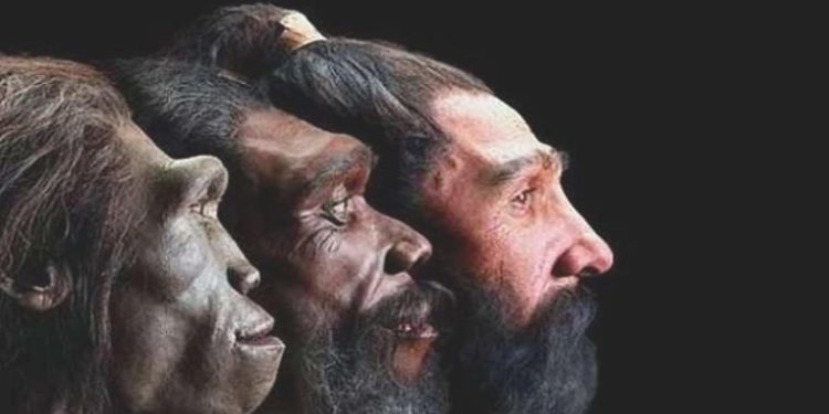 İnsan cetlerinin binlerce yıl evvel yok olmanın eşiğine geldiği ortaya çıktı