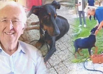 Kayıp Ekonomist Korhan Berzeg olayında his dolu anlar: Tina ile Angela 77 gün sonra kavuştu…