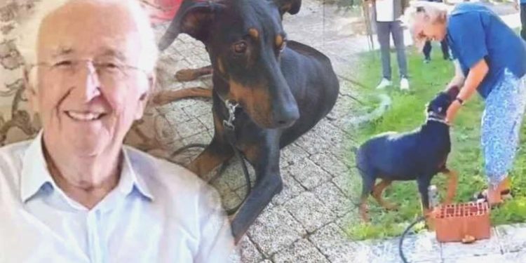 Kayıp Ekonomist Korhan Berzeg olayında his dolu anlar: Tina ile Angela 77 gün sonra kavuştu…