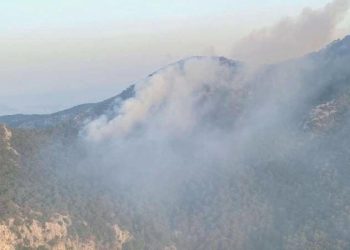 Kemalpaşa’da orman yangını