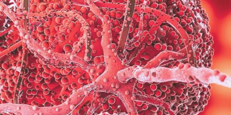 Kök hücre tedavisi kas ve eklem hastalarına umut oluyor!