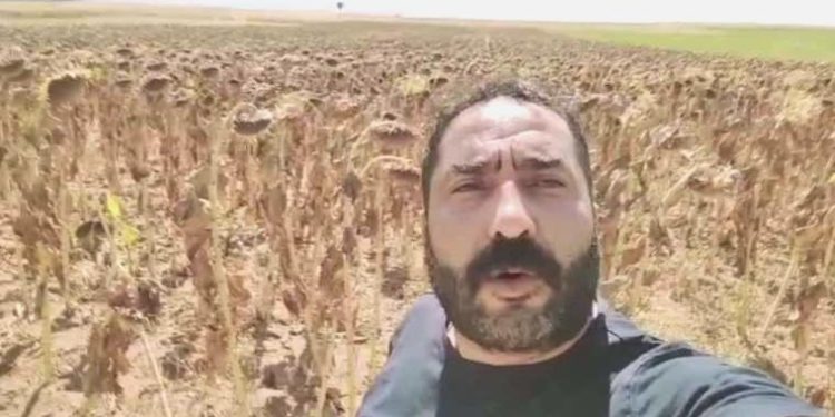 Konyalı çiftçi iktidara seslendi: Benim ürettiklerim neden kur karşısında korunmuyor?