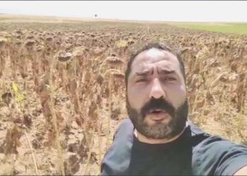 Konyalı çiftçi iktidara seslendi: Benim ürettiklerim neden kur karşısında korunmuyor?