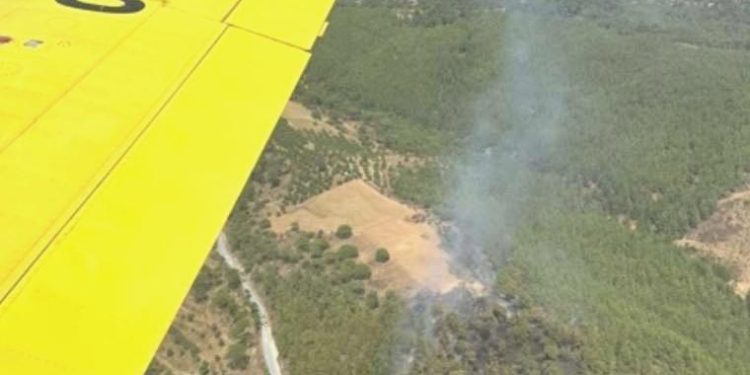 Muğla’da orman yangını: Gruplar müdahale ediyor!