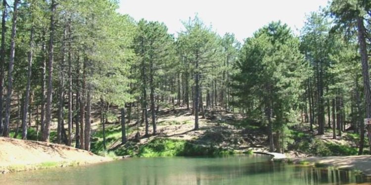 Murat Dağı’nda doğal hayatı tehdit edecek yeni bir proje daha gündemde: Tehlike sürüyor