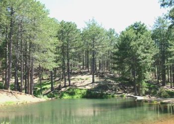 Murat Dağı’nda doğal hayatı tehdit edecek yeni bir proje daha gündemde: Tehlike sürüyor