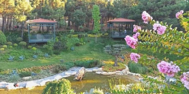 Orman alanına millet bahçesi