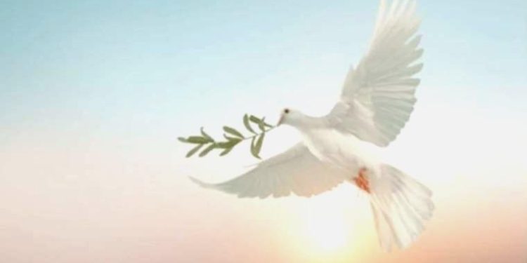 PEN Türkiye’den 1 Eylül iletisi