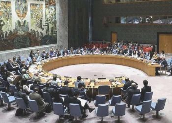 Rusya’dan Mali’ye takviye: Yaptırım karar tasarısını veto etti